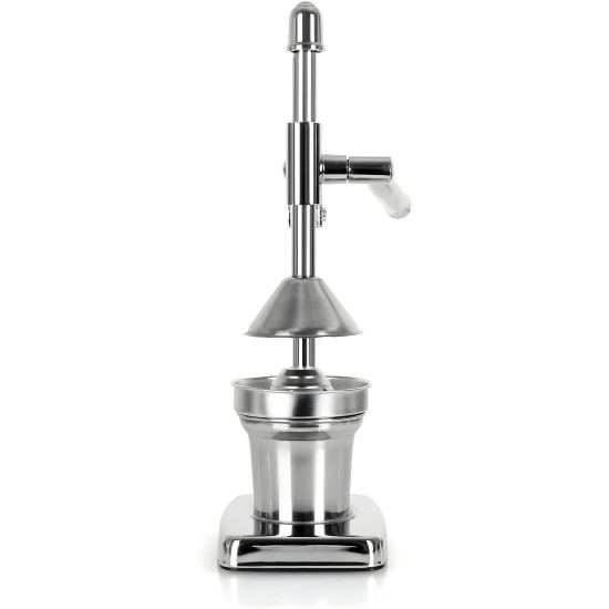 Fruit Juicer